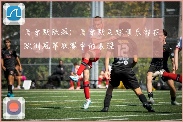 马尔默欧冠：马尔默足球俱乐部在欧洲冠军联赛中的表现