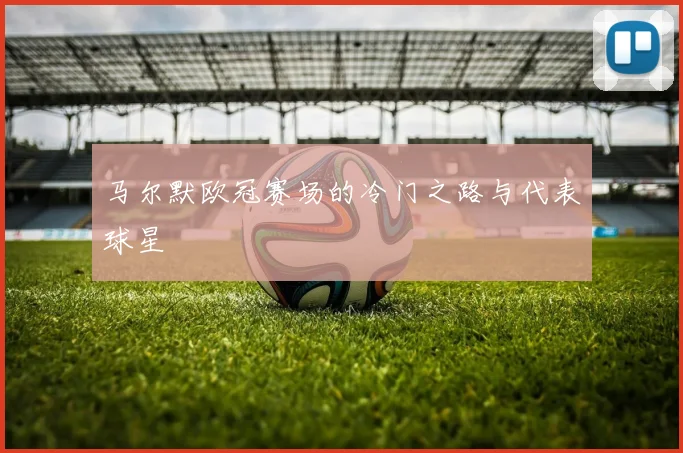 马尔默欧冠赛场的冷门之路与代表球星